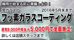 フッ素ガラスコーティング